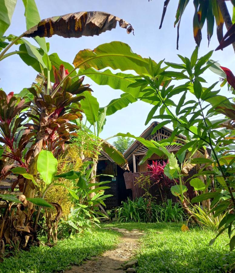 فندق Banana Grove إل نيدو المظهر الخارجي الصورة