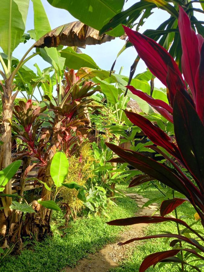 فندق Banana Grove إل نيدو المظهر الخارجي الصورة