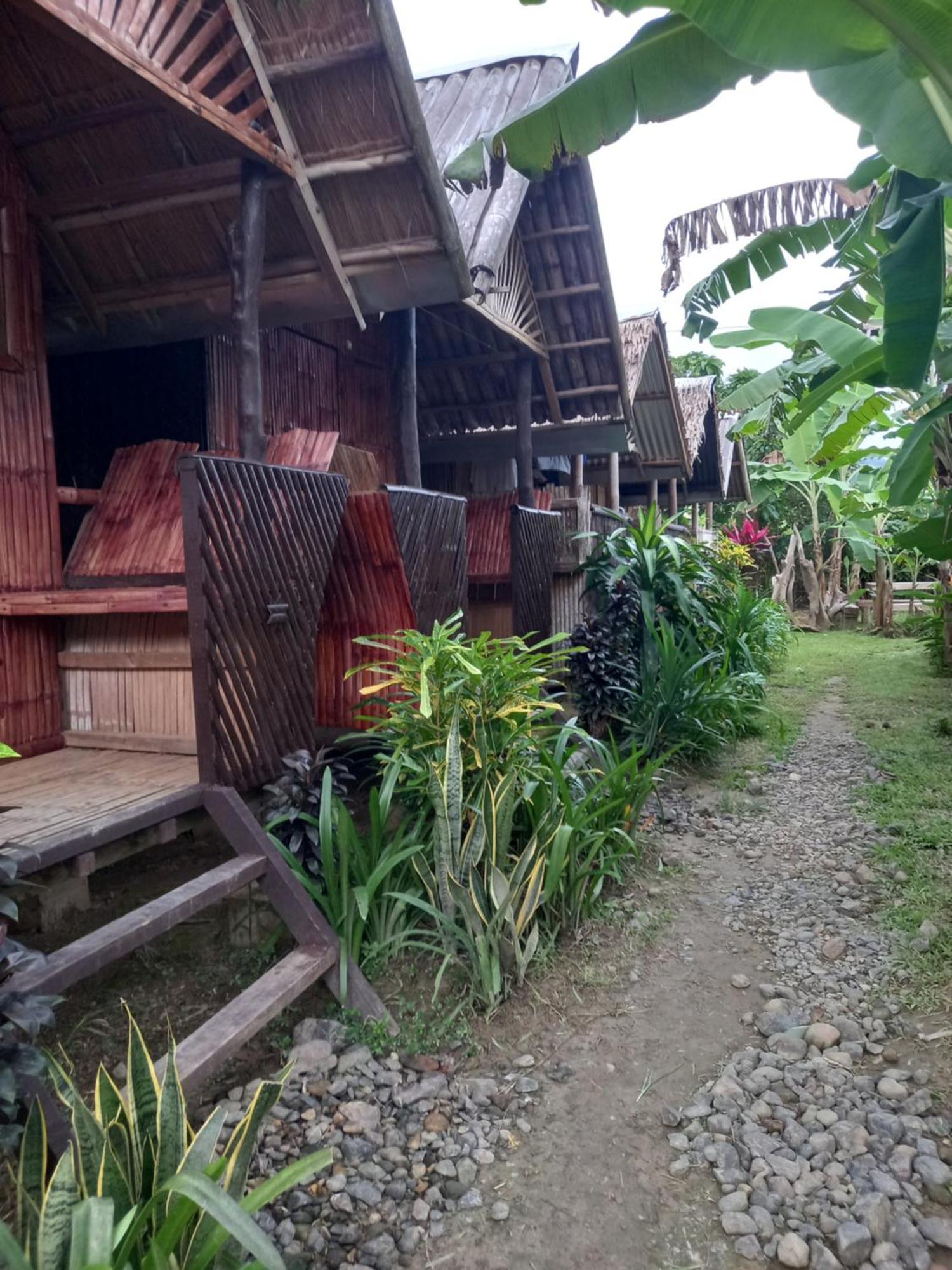 فندق Banana Grove إل نيدو الغرفة الصورة